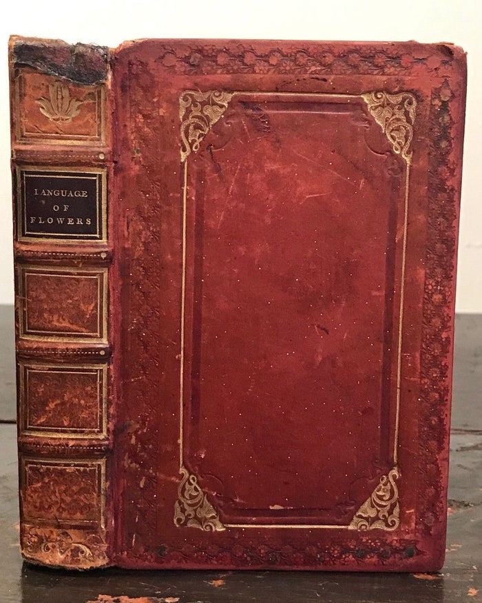 1835 - THE LANGUAGE OF FLOWERS - FREDERIC SHOBERL - Floral Engravings, Meanings