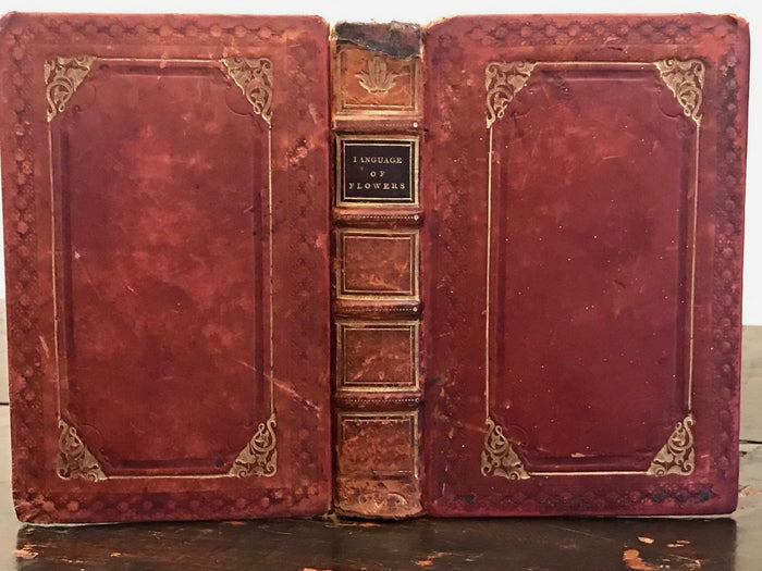 1835 - THE LANGUAGE OF FLOWERS - FREDERIC SHOBERL - Floral Engravings, Meanings
