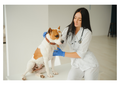 20 dogs in your waiting room with lumps and bumps - how do you spot the 3 with cancer? (LVS25)