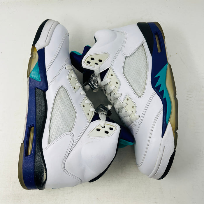 Jordan 5 Retro Grape (2013)