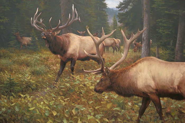 A Meeting of the Heavyweights by Kyle Sims