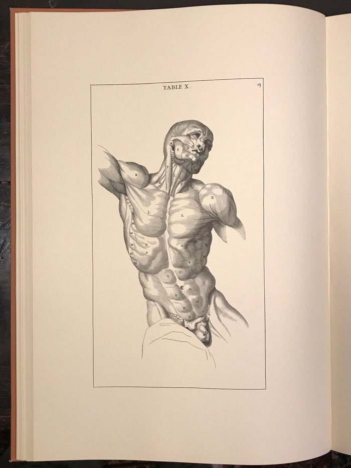 ANATOMY IMPROV'D & ILLUSTRATED  B. GENGA 1723 LTD ED 2500 ANATOMY LITHOS, FOLIO