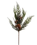 Aria Cedar Pick
