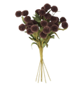 Augusta Brown PomPom Stem