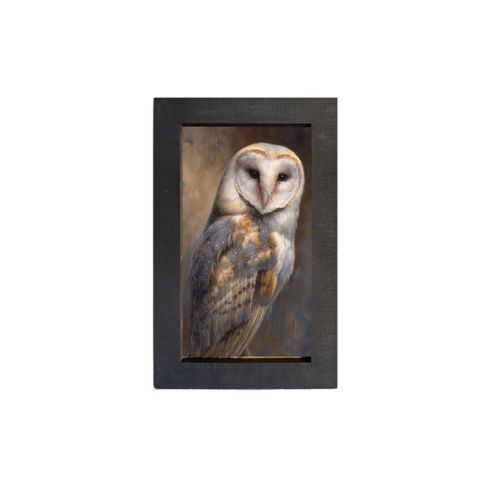 Barn Owl Portrait - Framed Art