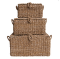 Blip Seagrass Trunks (3 Sizes)