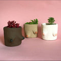 Clay Tits - Painted Cement Boob Pots