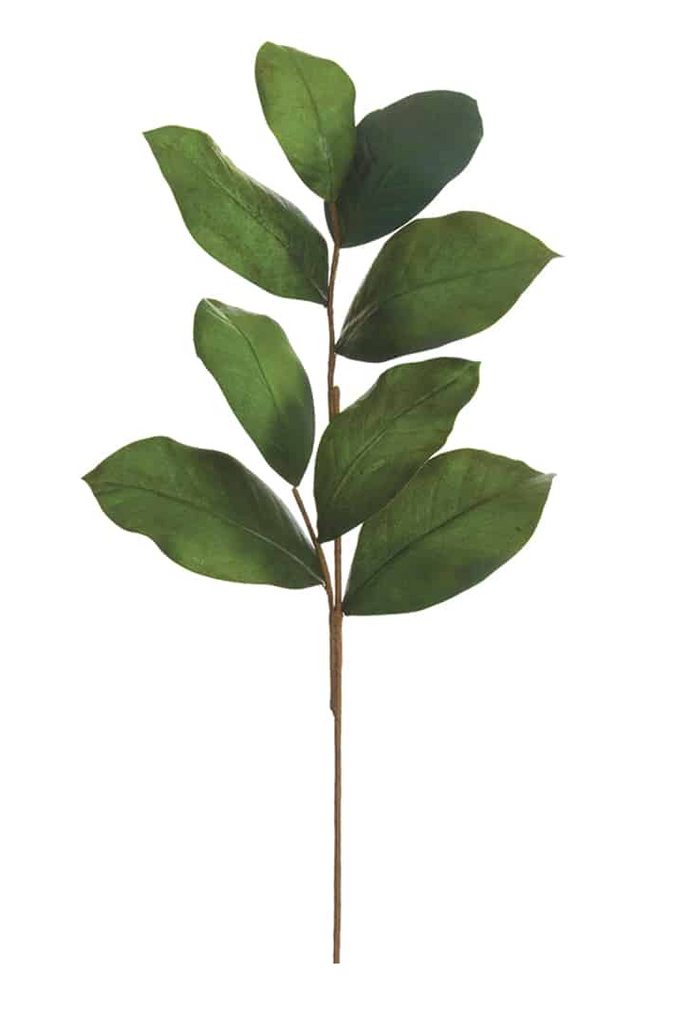 Cora Magnolia Stem
