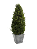 Small Zodax Cypress Tree Topiary with lush green foliage and a decorative pot, perfect for elegant indoor or outdoor decor.