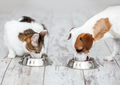Diabetic cataracts - are they avoidable and what can you do about them?