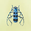 Eager Bug Print