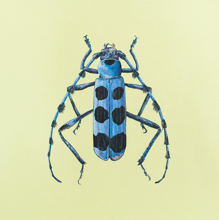 Eager Bug Print