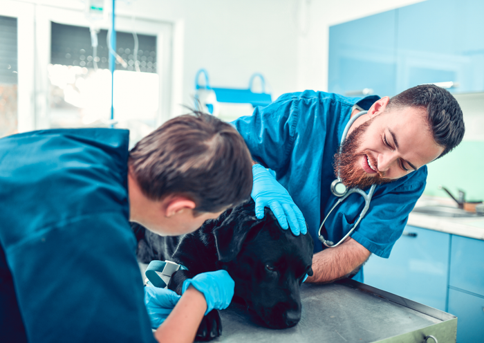 Emergency fluid resuscitation – are more fluids always the answer?