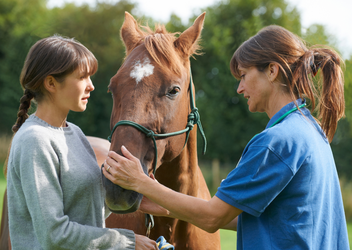 Getting confident with neurological examinations: A simple guide