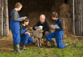 How can we engage sheep farmers for improved health of the sheep and the rest of the flock?