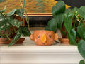 Howdy Ceramics - Mini Face Planter in Brown