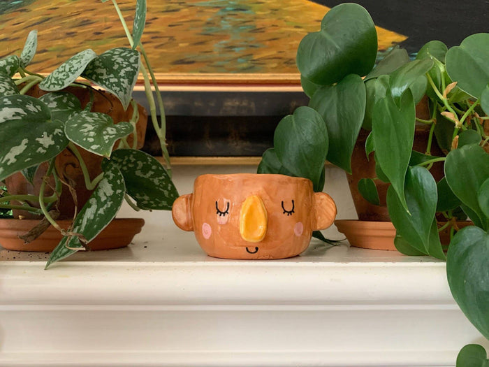Howdy Ceramics - Mini Face Planter in Brown
