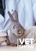 Management of Chronic Disease in Pet Rabbits (SVS25)