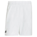 Men's Club Graphic Shorts White and Dash Grey