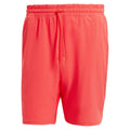 Men's Ergo 9 inch Short Semi Lucid Red