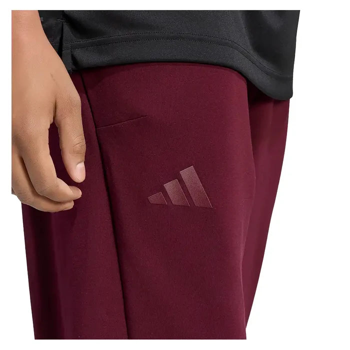 Men's GameSet Cover Up Pants Maroon