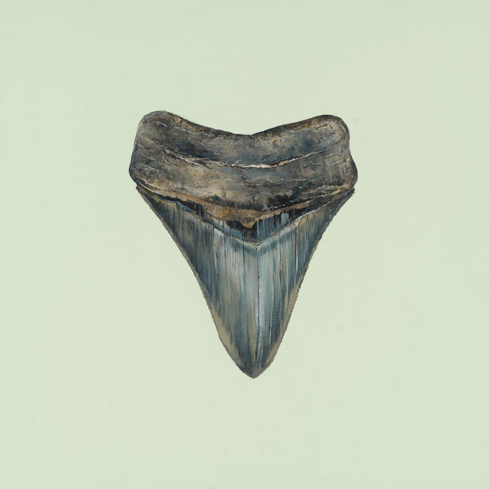 Mint Megalodon Print