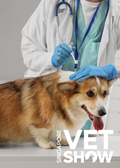Neurology Refresher – How to get the most out of your neurological examinations (SVS25)