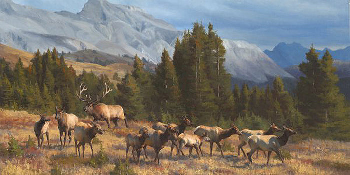 Northern Social by Kyle Sims