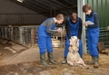 Notifiable diseases; reporting suspicion, practical guidance