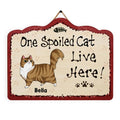 One Spoiled Cat Live Here - Personalized Door Sign, Gift For Cat Lover, Gift For Pet Lover