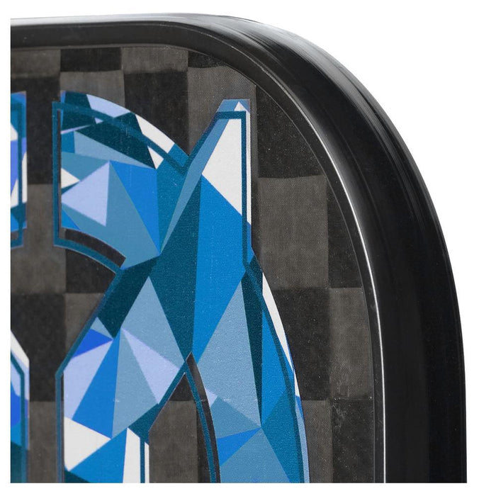Outbreak Graphite Pickleball Paddle