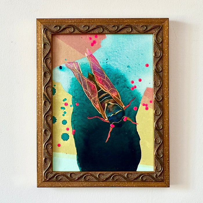 Pink Cicada