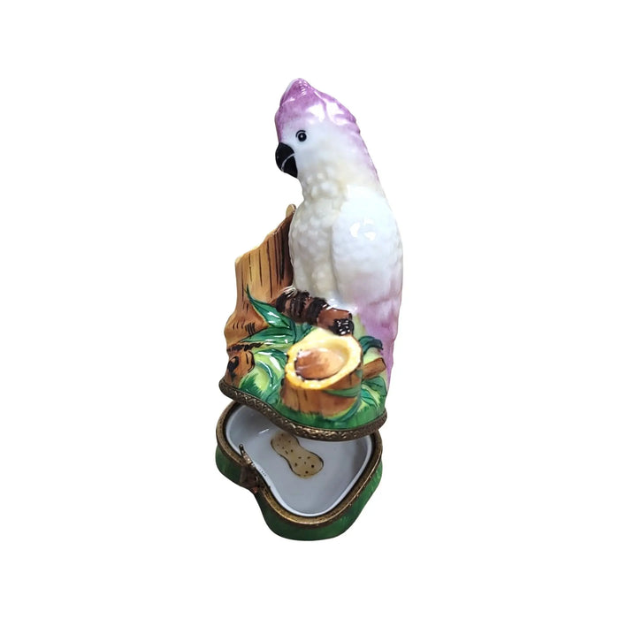 Pink Cockatoo Limoges box shown from another angle