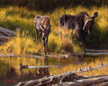 Right of Way by Dustin Van Wechel