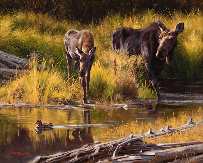 Right of Way by Dustin Van Wechel