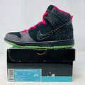Nike SB Dunk High Premier Northern Lights