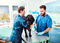 Spine on the line: When to act fast