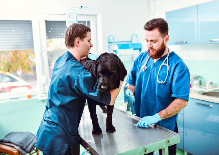Spine on the line: When to act fast