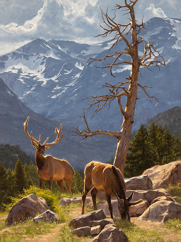 Summer Spoils by Dustin Van Wechel
