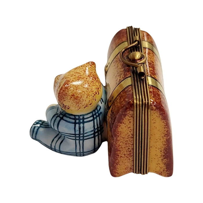 Hand-painted Teddy Bear Adventure Limoges box, additional photo